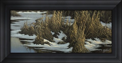 Framed Snipe Flight Print