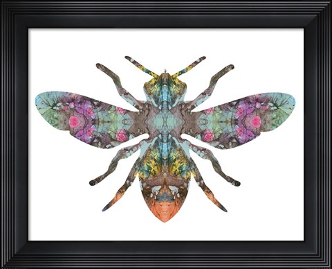 Framed Transverse Bee Print