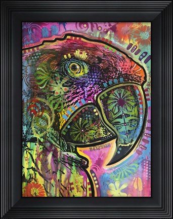 Framed Close Up Parrot Print