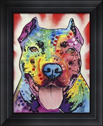 Framed Sun Ray Print