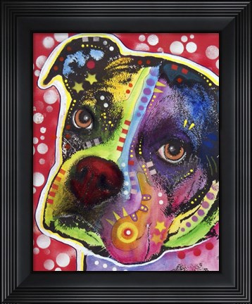 Framed Young Boxer Print