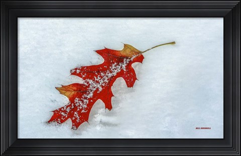 Framed Moment Together Print