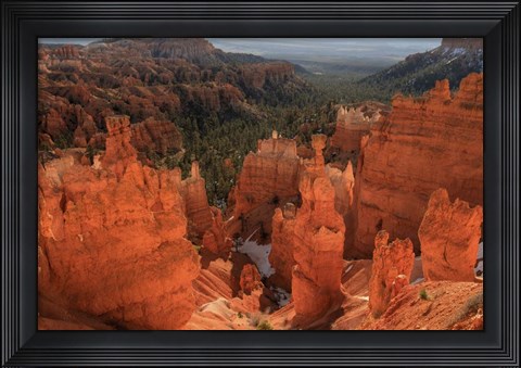 Framed Illumination Print