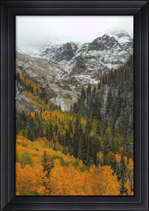 Framed Orange Flames Print