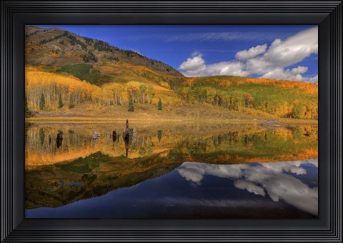 Framed Reflecting On Autumn Print