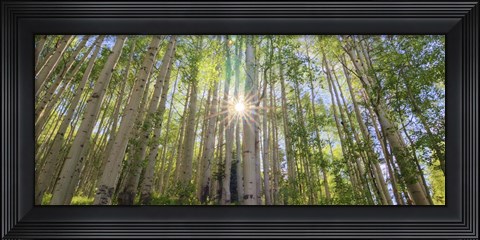 Framed Starshine Print