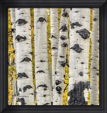 Framed Strength In Numbers Print