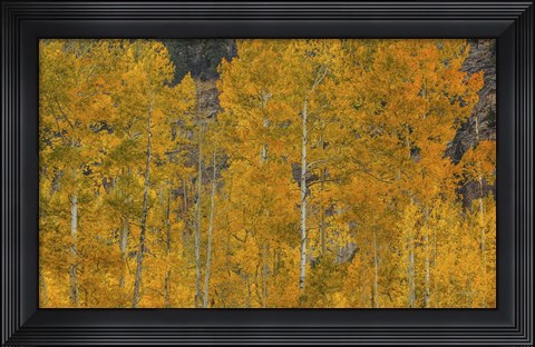 Framed Flames Of Autumn Print