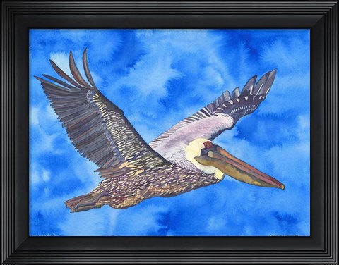 Framed Flying Pelican Print