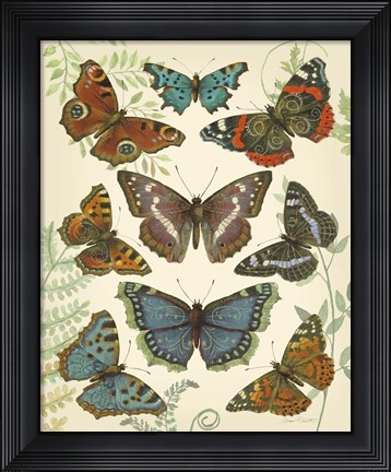 Framed Butterfly Plate 4 Print