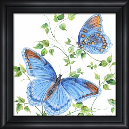 Framed Summertime Butterflies C Print