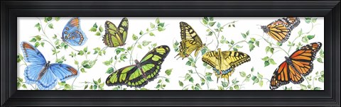 Framed Summertime Butterflies E Print