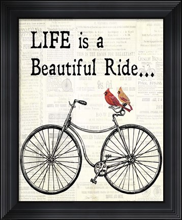 Framed Bicycle With Cardinals B Print
