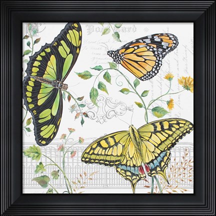 Framed Butterfly Garden Print