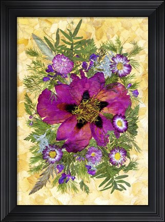 Framed Dried Peony And Daisies Print