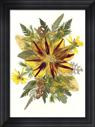 Framed Dried Tulip 1 Print