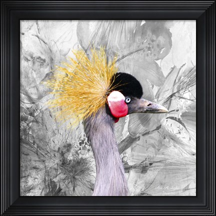 Framed Crest Bird Print