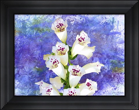 Framed Foxgloves Print