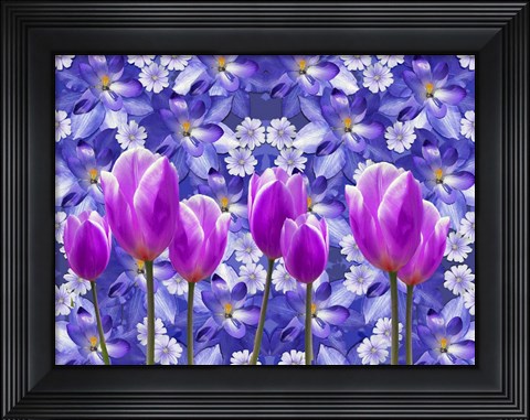 Framed Purple Tulips Print