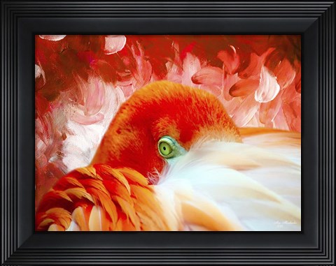 Framed Red Flamigo Print