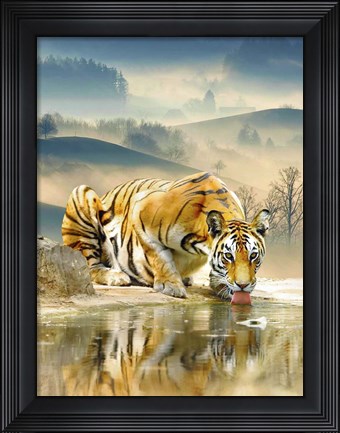Framed Tiger Drinking Water Print