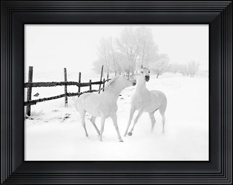 Framed Winter Horses Print