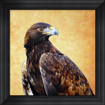 Framed Eagle King Print