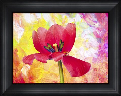 Framed Poppy Beauty Print