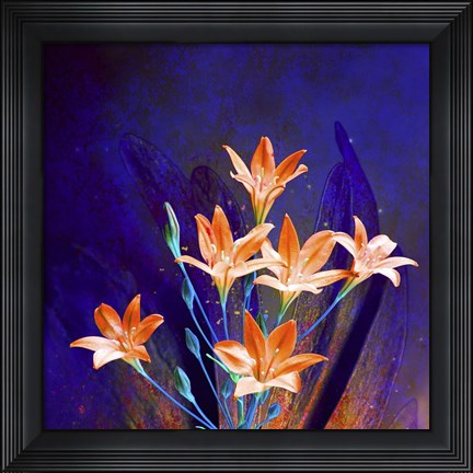 Framed Purple And Orange Print