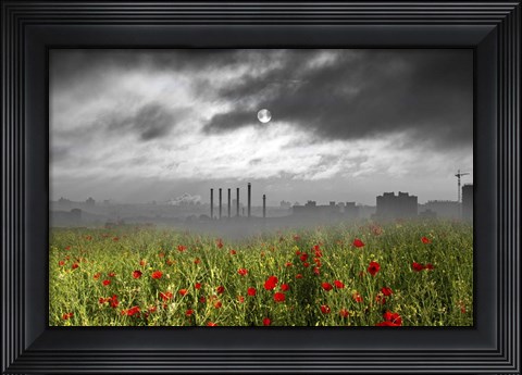 Framed Destruction Print