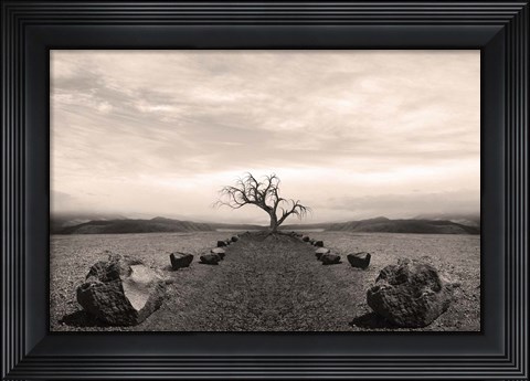 Framed Dry Land 2 Print
