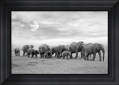 Framed Elephent Family Print