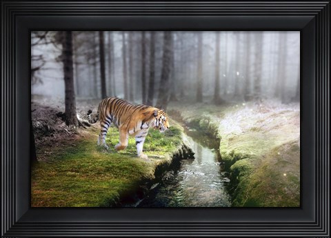 Framed Forest King 2 Print