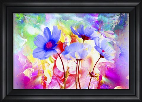 Framed Garden Of Colors S30 Print