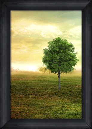 Framed Lone Green Tree Print