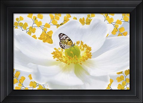 Framed Nature S1 Print