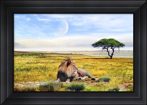 Framed Nature S3 Print