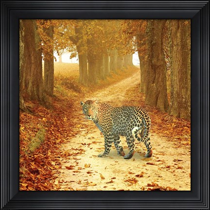 Framed Nature S10 Print