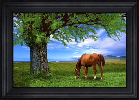 Framed Nature S21 Print