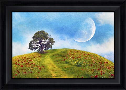 Framed Nature S33 Print