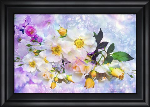 Framed Nature S114 Print