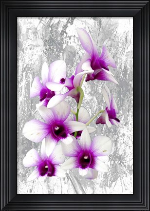 Framed Purple Is My Color Print