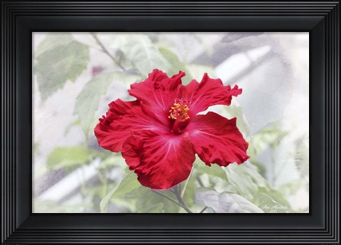 Framed Red Is Beautiful Print