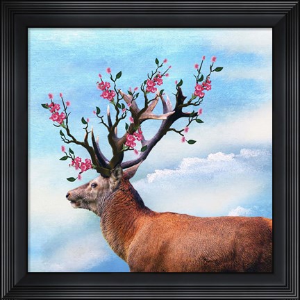 Framed Flower Head Print