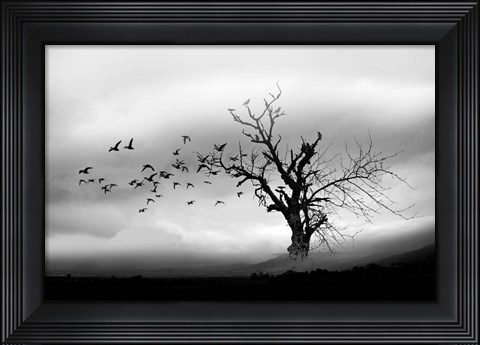 Framed Lone Tree And Birds Print