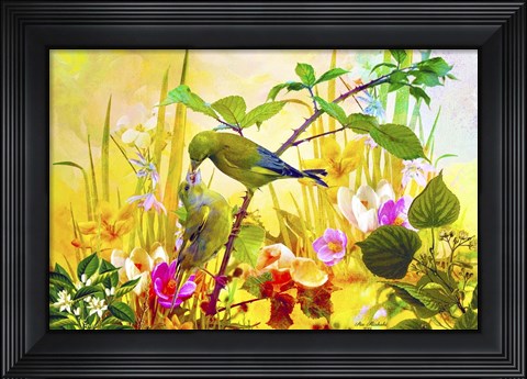Framed Nature Bird And Flowers 3 Print