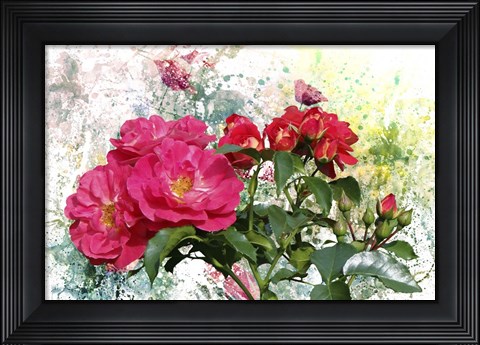 Framed Roses Are Beautiful Print