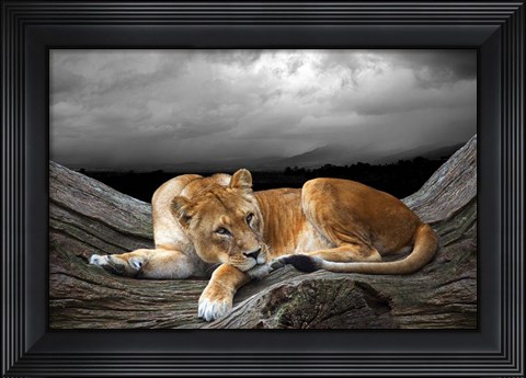 Framed Time To Rest Print