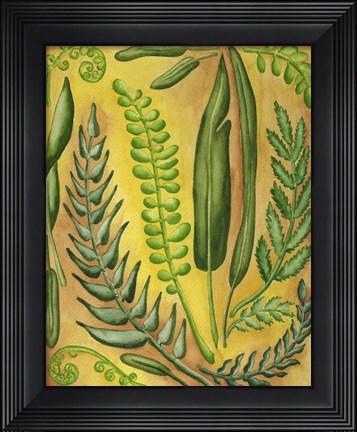 Framed Fern 3 Print