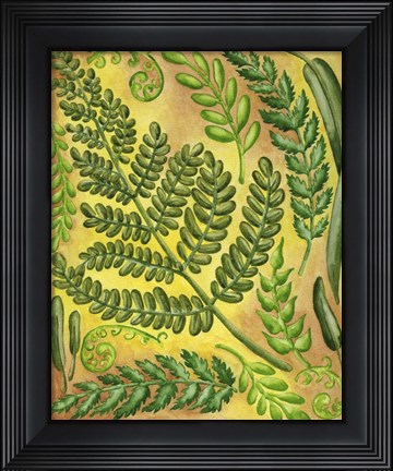 Framed Fern 4 Print